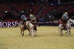 Quadrille - 00135